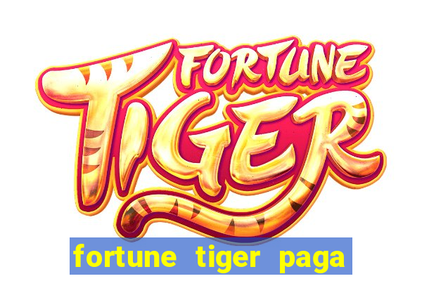 fortune tiger paga de madrugada